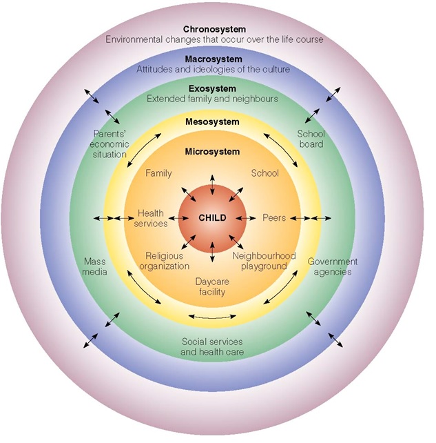 bronfenbrenner model of human development